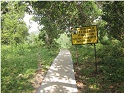 Construction of CC Footpath at Dagal Gopgre